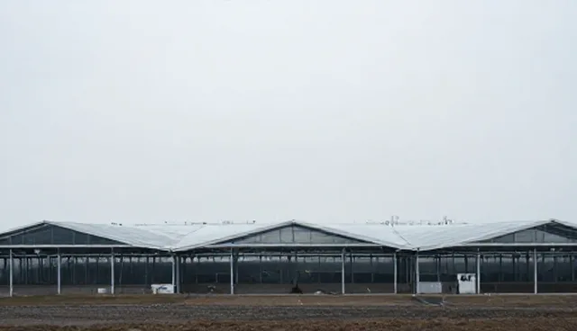 技术研究：技术推广中的选型关键与应用场景分析