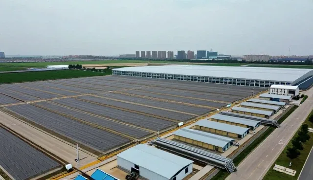 技术推广中的系统稳定性保障实践